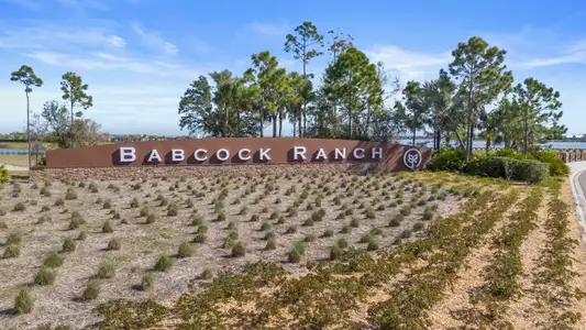 Crescent Lakes - Premier Series by Meritage Homes in Punta Gorda - image