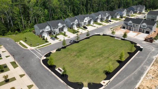 Forrest Bluff by Ivey Homes in North Augusta - image 11