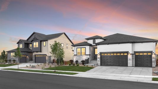 The Estates Collection at Talon Pointe 15