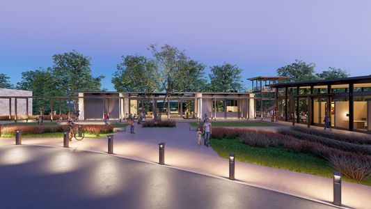 Landmark by David Weekley Homes in Denton - image 6