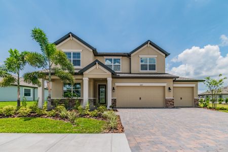 Oakstead Estates by M/I Homes in Land O' Lakes - photo 18 18