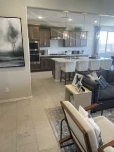 Highland Sage at Alamar by Brookfield Residential in Avondale - photo 47 47