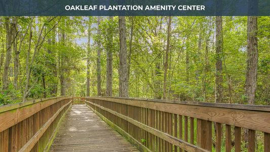 Towering Oaks by D.R. Horton in Orange Park - photo 21 21