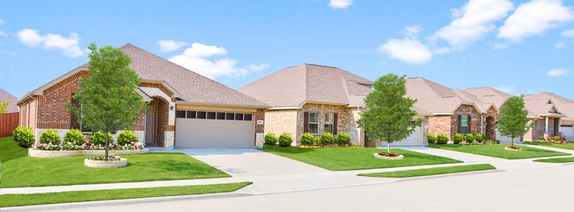 Shaded Tree: Classic Collection by Lennar in McKinney - photo 0 0