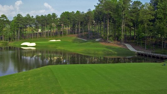 The Reserve At Governors Towne Club by Patrick Malloy Communities in Acworth - photo 2 2