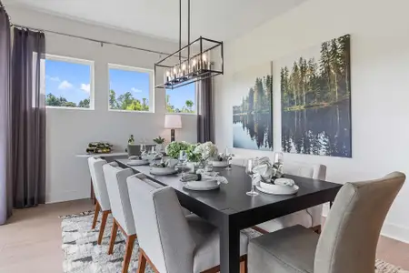 Old Mill Preserve by David Weekley Homes in Dallas - image 9