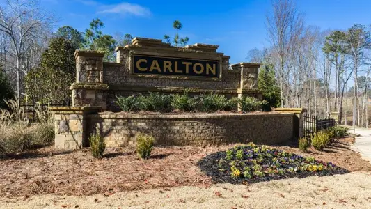 Carlton by D.R. Horton in Douglasville - image