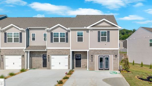 Spring Lake Farms Townhomes by D.R. Horton in Knoxville - image
