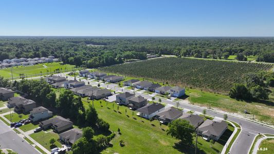 Grandview Gardens by Mattamy Homes in Deland - photo 0 0