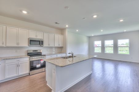 Dorris Farm Villas by Goodall Homes in White House - image 6