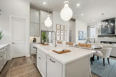 Everly - 45' by Drees Custom Homes in Hockley - image 7