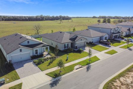 Hilltop Point by M/I Homes in Dade City - photo 9 9