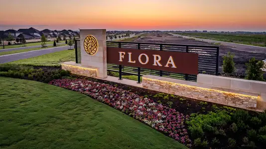 Flora by David Weekley Homes in Hutto - image