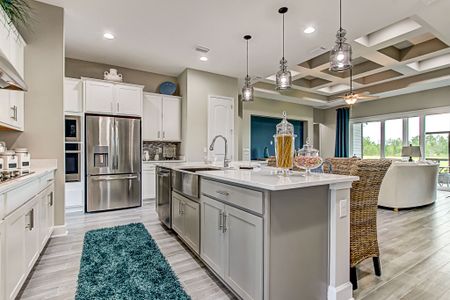 Sandy Creek by SEDA New Homes in Saint Augustine - photo 47 47