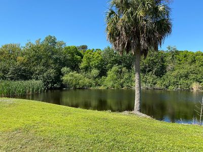 Tea Olive Terrace at the Fairways by William Ryan Homes in Palmetto - photo 6 6