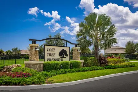 Lost Tree Preserve by Ryan Homes in Vero Beach - photo 2 2