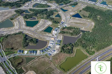 Tamarack at Two Rivers by William Ryan Homes in Zephyrhills - image