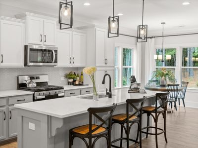 Edgewater Lakeview Point by True Homes in Lancaster - photo 8 8