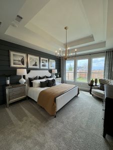 Nolina - 50' by Westin Homes in Georgetown - photo 33 33