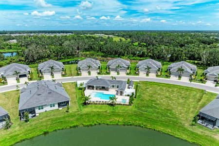 The Laurels by Medallion Home in Parrish - image 14