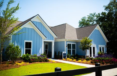 Sea Island Preserve by Pulte Homes in Johns Island - photo 12 12