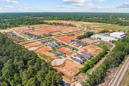 Lone Star Landing by M/I Homes in Montgomery - photo 2 2