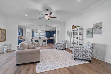 Starburst at Hammock Bay by DSLD Homes in Freeport - image 2