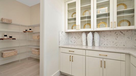 Serengeti by DRB Homes in Spring Hill - photo 53 53