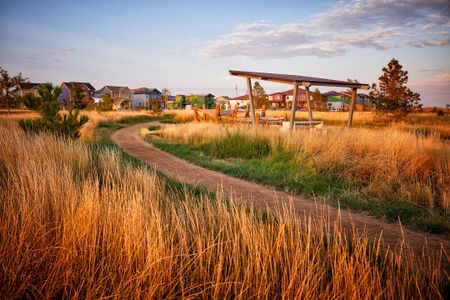 Painted Prairie by Tri Pointe Homes in Aurora - image