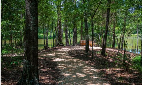 Gatherings® at Chambers Creek: Gatherings® at Chambers Creek 40' Homesites 19
