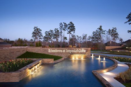 The Meadows at Imperial Oaks 40' - Section 20 by Coventry Homes in Conroe - photo 57 57