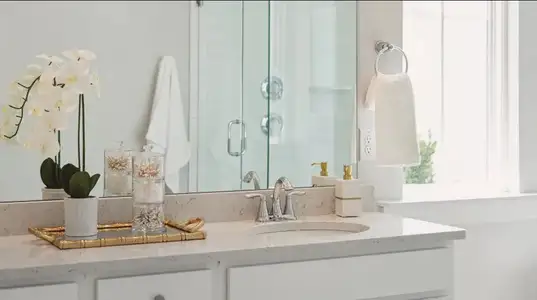 Reserve at Clinton Commons: Orchard 5