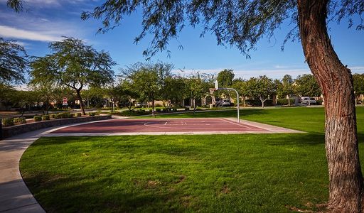 Basketball Court