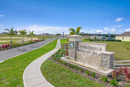 Timberwalk by D.R. Horton in Mount Dora - photo