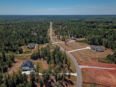 Georgian Pines by Trademark Quality Homes in Senoia - image