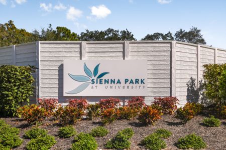 Sienna Park at University by M/I Homes in Sarasota - photo 5 5