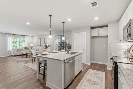 Silver Leaf by Kerley Family Homes in Dawsonville - image 6