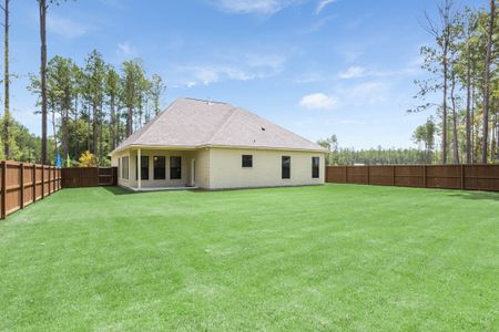 Longleaf by DSLD Homes in Lumberton - image 3