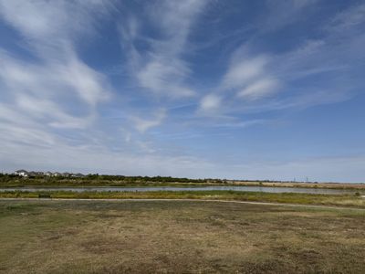Horizon Lake 60s by Taylor Morrison in Leander - photo 5 5