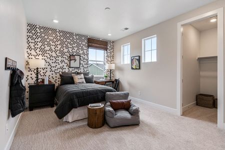 Trailstone Destination Collection by Taylor Morrison in Arvada - photo 144 144