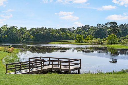 Escondido 50' Homesites by David Weekley Homes in Magnolia - photo 2 2