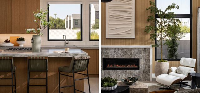 Viridian by Camelot Homes in Phoenix - image 6