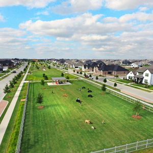 Harvest: 60ft. lots by Highland Homes in Argyle - photo