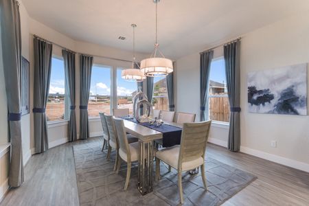 Veramendi by Scott Felder Homes in New Braunfels - photo 28 28