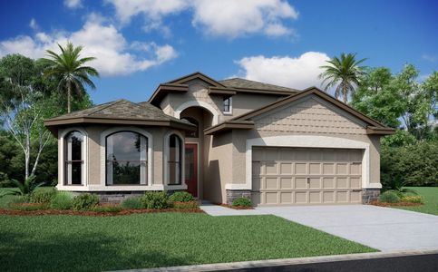 Rose Haven by Vitale Homes in New Port Richey - photo 8 8