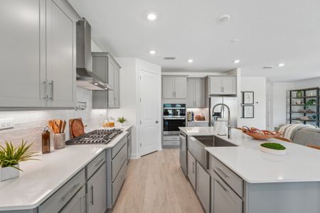 Shearwater by Dream Finders Homes in St. Augustine - image 7