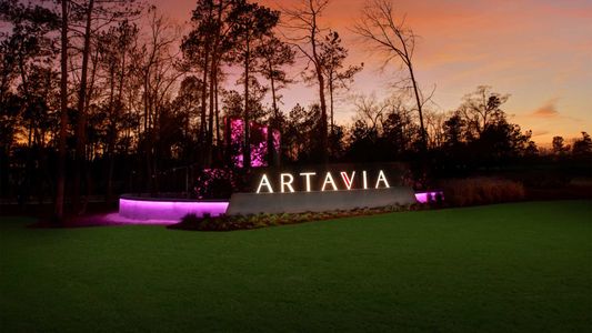 ARTAVIA 45' by Perry Homes in Conroe - photo 2 2