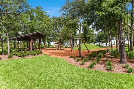 Shearwater by Dream Finders Homes in St. Augustine - image 15