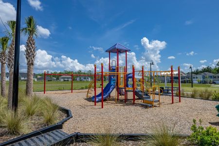 Wilford Preserve by Dream Finders Homes in Orange Park - photo 8 8