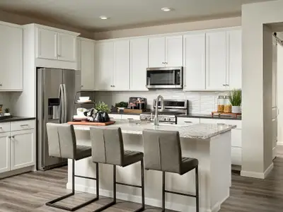 Ensemble at The Aurora Highlands by Tri Pointe Homes in Aurora - photo 20 20